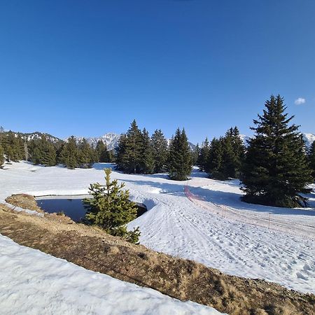 Appartement Au Pied Des Pistes Et Du Park Nordique Шамрусс Екстер'єр фото